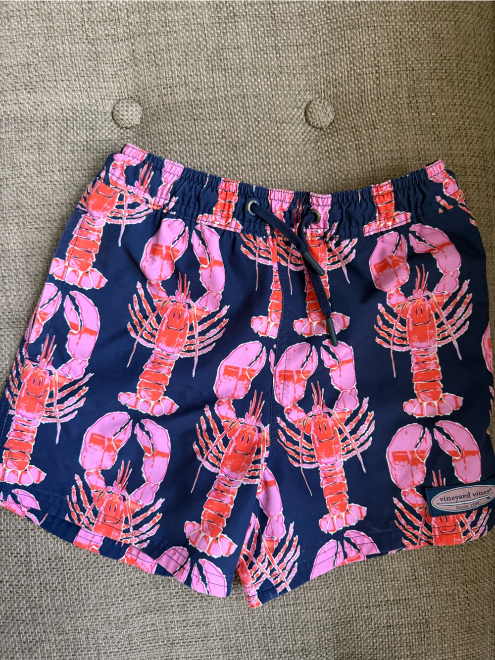 Vineyard Vines Boys Sz 6 Chappy Swim Trunks